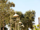 Multiproprieta' Masseria Torre del Diamante
