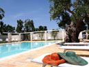 Multiproprieta' Masseria Torre del Diamante