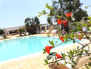 Multiproprieta' Masseria Torre del Diamante