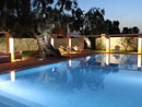 Multiproprieta' Masseria Torre del Diamante