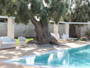 Multiproprieta' Masseria Torre del Diamante