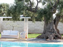 Multiproprieta' Masseria Torre del Diamante